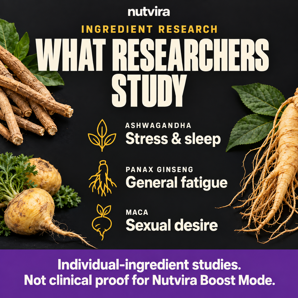 Ingredient research topics: ashwagandha for stress and sleep, Panax ginseng for general fatigue, and maca for sexual desire. Individual-ingredient studies are not clinical proof for Nutvira Boost Mode.